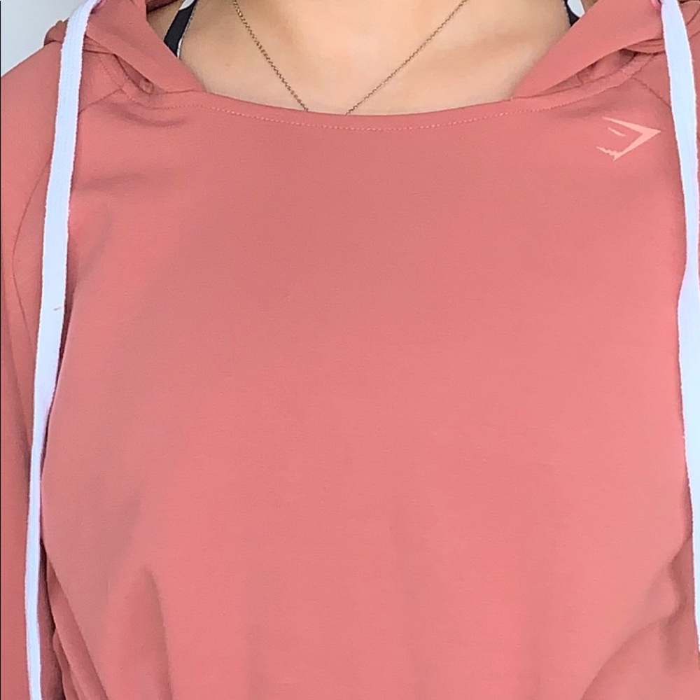 ws gymshark brick hoodie